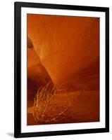 Tumbleweed on Ledge in Antelope Canyon, Page, Arizona, USA-Adam Jones-Framed Photographic Print