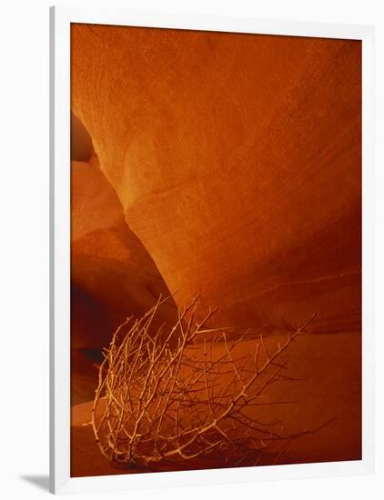 Tumbleweed on Ledge in Antelope Canyon, Page, Arizona, USA-Adam Jones-Framed Photographic Print