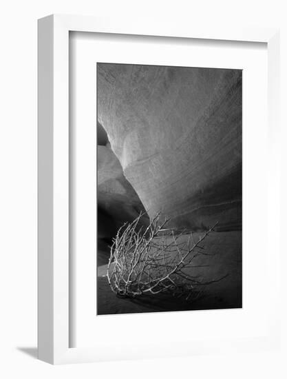 Tumbleweed on Ledge in Antelope Canyon, Page, Arizona, USA-Adam Jones-Framed Photographic Print