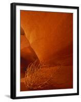 Tumbleweed on Ledge in Antelope Canyon, Page, Arizona, USA-Adam Jones-Framed Premium Photographic Print