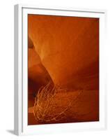 Tumbleweed on Ledge in Antelope Canyon, Page, Arizona, USA-Adam Jones-Framed Premium Photographic Print