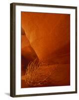 Tumbleweed on Ledge in Antelope Canyon, Page, Arizona, USA-Adam Jones-Framed Premium Photographic Print