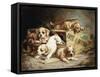 Tumbling Retriever Puppies-Frederico Olaria-Framed Stretched Canvas