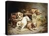 Tumbling Retriever Puppies-Frederico Olaria-Stretched Canvas