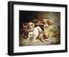 Tumbling Retriever Puppies-Frederico Olaria-Framed Giclee Print