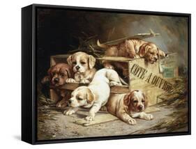 Tumbling Retriever Puppies-Frederico Olaria-Framed Stretched Canvas