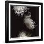 Tumbling White Chrysanthemums-Doris Mitsch-Framed Photographic Print