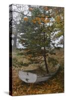 Tumbo Island, Gulf Islands National Park Reserve, BC, Canada.-Roddy Scheer-Stretched Canvas