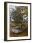 Tumbo Island, Gulf Islands National Park Reserve, BC, Canada.-Roddy Scheer-Framed Photographic Print