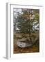 Tumbo Island, Gulf Islands National Park Reserve, BC, Canada.-Roddy Scheer-Framed Photographic Print