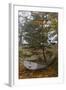 Tumbo Island, Gulf Islands National Park Reserve, BC, Canada.-Roddy Scheer-Framed Photographic Print