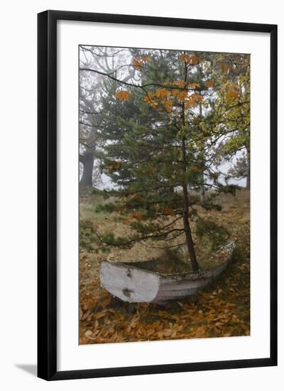 Tumbo Island, Gulf Islands National Park Reserve, BC, Canada.-Roddy Scheer-Framed Photographic Print