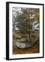 Tumbo Island, Gulf Islands National Park Reserve, BC, Canada.-Roddy Scheer-Framed Photographic Print