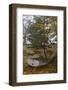 Tumbo Island, Gulf Islands National Park Reserve, BC, Canada.-Roddy Scheer-Framed Photographic Print