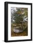 Tumbo Island, Gulf Islands National Park Reserve, BC, Canada.-Roddy Scheer-Framed Photographic Print