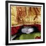 Tumford The Terrible-Nancy Tillman-Framed Art Print