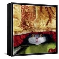 Tumford The Terrible-Nancy Tillman-Framed Stretched Canvas