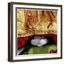 Tumford The Terrible-Nancy Tillman-Framed Art Print