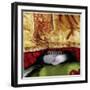 Tumford The Terrible-Nancy Tillman-Framed Art Print