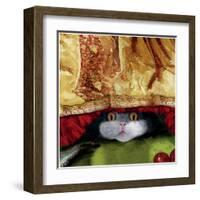 Tumford The Terrible-Nancy Tillman-Framed Art Print