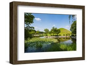 Tumuli Park with its Tombs from the Shilla Monarchs-Michael-Framed Photographic Print