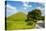 Tumuli Park with its Tombs from the Shilla Monarchs-Michael Runkel-Stretched Canvas