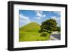 Tumuli Park with its Tombs from the Shilla Monarchs-Michael Runkel-Framed Photographic Print