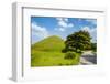 Tumuli Park with its Tombs from the Shilla Monarchs-Michael Runkel-Framed Photographic Print