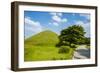 Tumuli Park with its Tombs from the Shilla Monarchs-Michael Runkel-Framed Photographic Print