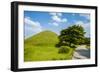 Tumuli Park with its Tombs from the Shilla Monarchs-Michael Runkel-Framed Photographic Print