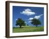 Tumuli, Pitstone Hill, Beside the Chilterns Ridgeway Path, Buckinghamshire, England, United Kingdom-David Hughes-Framed Photographic Print