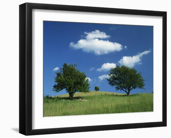 Tumuli, Pitstone Hill, Beside the Chilterns Ridgeway Path, Buckinghamshire, England, United Kingdom-David Hughes-Framed Photographic Print