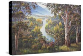 Tumut Atmospherics-John Bradley-Stretched Canvas