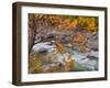 Tumwater Canyon, Maple Tree and Wenatchee River, Wenatchee National Forest, Washington, Usa-Jamie & Judy Wild-Framed Photographic Print