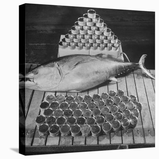 Tuna and Cans of Tuna-Allan Grant-Stretched Canvas