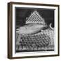 Tuna and Cans of Tuna-Allan Grant-Framed Photographic Print