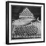 Tuna and Cans of Tuna-Allan Grant-Framed Photographic Print