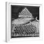 Tuna and Cans of Tuna-Allan Grant-Framed Photographic Print