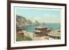 Tuna Club, Avalon, Santa Catalina Island-null-Framed Premium Giclee Print