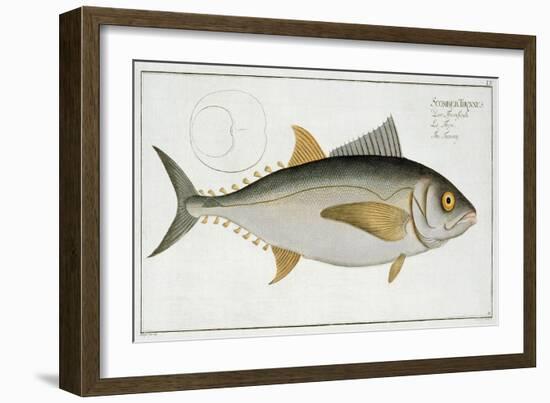 Tuna-Andreas-ludwig Kruger-Framed Giclee Print