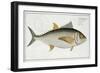 Tuna-Andreas-ludwig Kruger-Framed Giclee Print