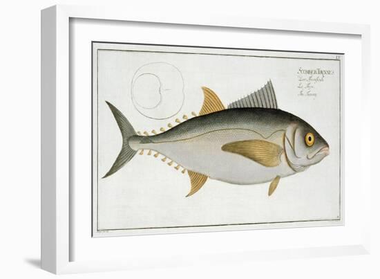 Tuna-Andreas-ludwig Kruger-Framed Giclee Print