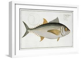 Tuna-Andreas-ludwig Kruger-Framed Giclee Print