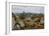 Tunbridge Wells from the Common-Alfred Robert Quinton-Framed Giclee Print