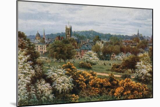 Tunbridge Wells from the Common-Alfred Robert Quinton-Mounted Giclee Print