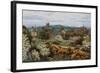 Tunbridge Wells from the Common-Alfred Robert Quinton-Framed Giclee Print