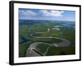 Tundra in Alaska-Danny Lehman-Framed Photographic Print
