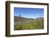 Tundra Landscape-lubastock-Framed Photographic Print