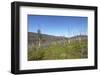 Tundra Landscape-lubastock-Framed Photographic Print