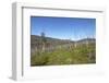 Tundra Landscape-lubastock-Framed Photographic Print